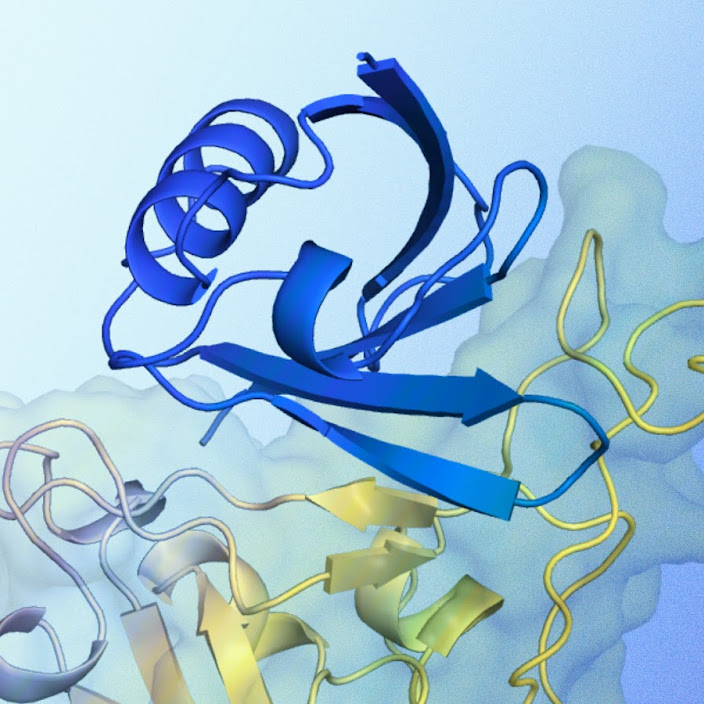 Google DeepMind predstavio SynthID Bio: Novi alat za vodeni žig u biologiji
